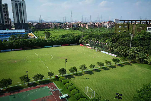 東莞望牛墩鎮(zhèn)群英會活動基地