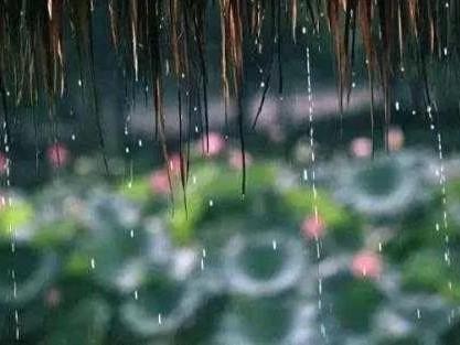 家里溫濕平衡、四季如春，遠(yuǎn)離梅雨季
